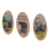 Pine Ridge Assorted Black Bear Refrigerator Magnet Kitchen Home Decor, Office Magnets For Fridge, Whiteboard, Billboard, Set of 3